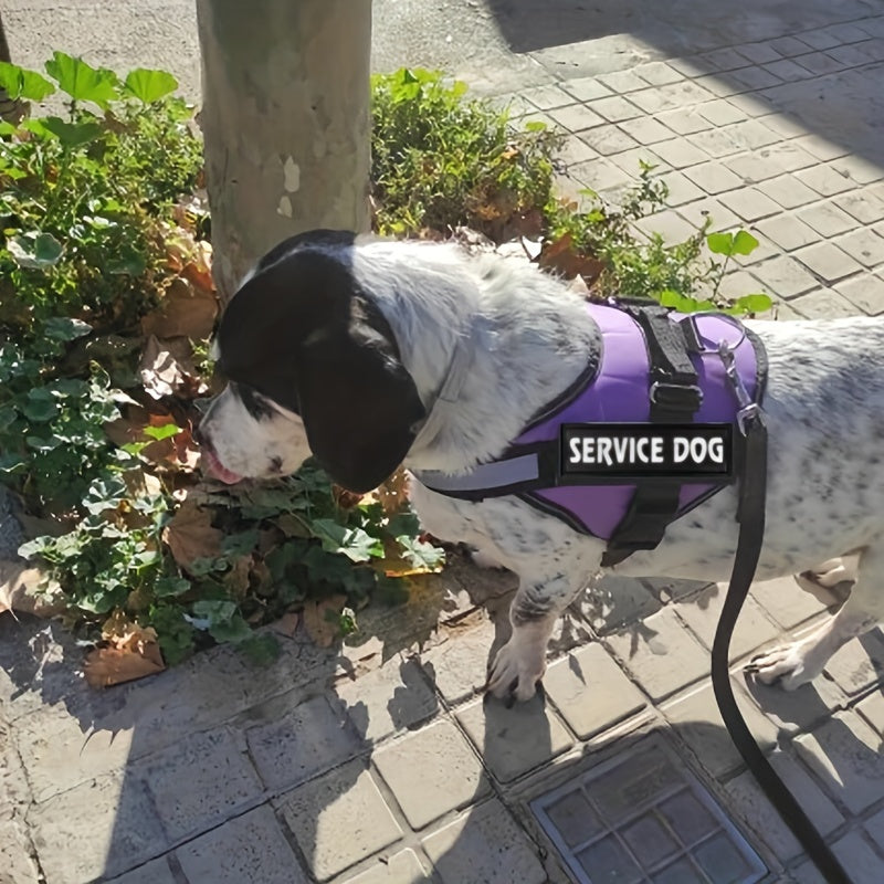 Ultimate Service Dog Harness - No Pull, Easy On/Off, 3M Reflective, Breathable, Adjustable Pet Vest with Nylon Handle, No Tugging, No Choking, Comfortable Wear