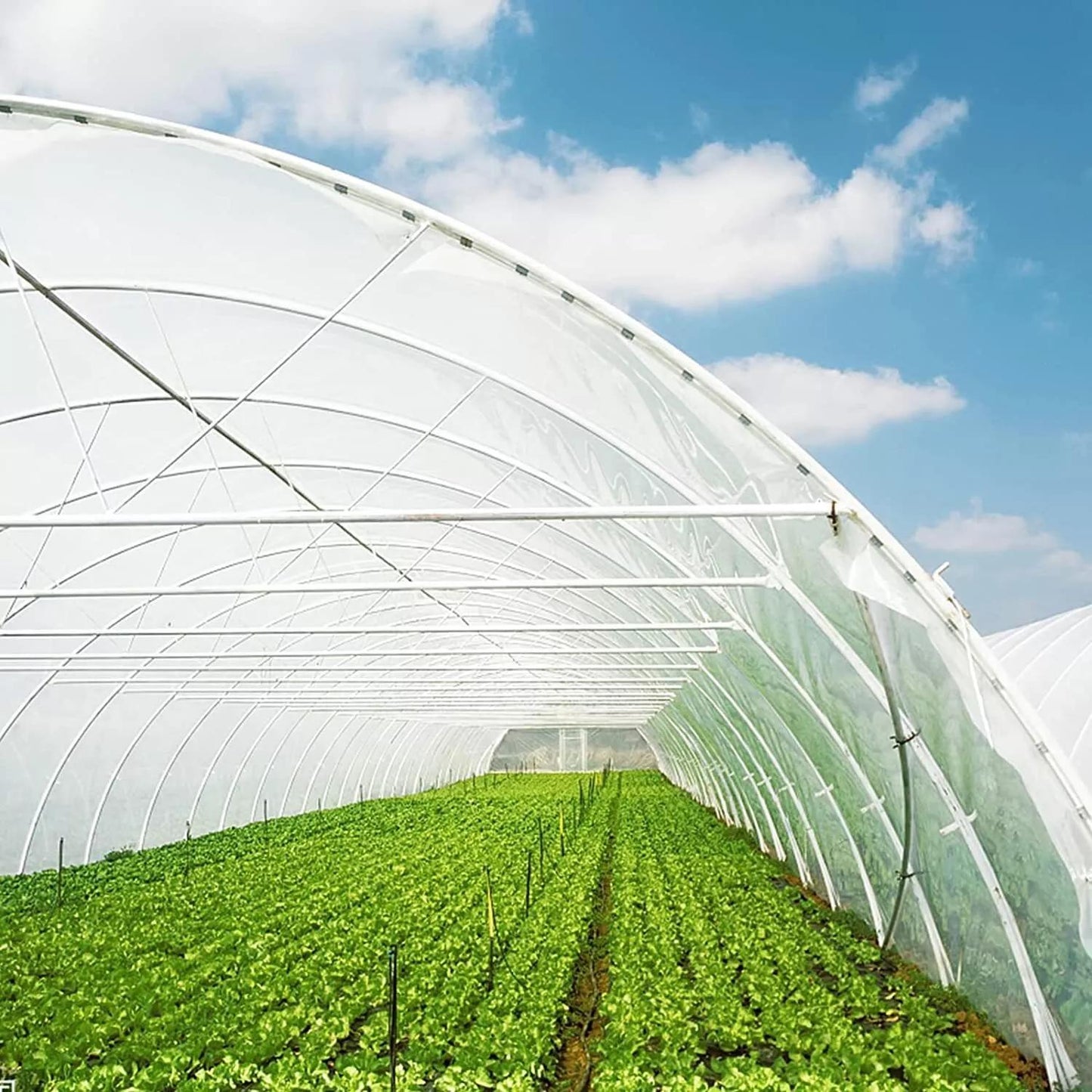 6 mil Greenhouse Plastic Film Sheeting Cover Large Size 100ft 50ft 40ft Length Available UV Resistant Clear Polyethylene Film