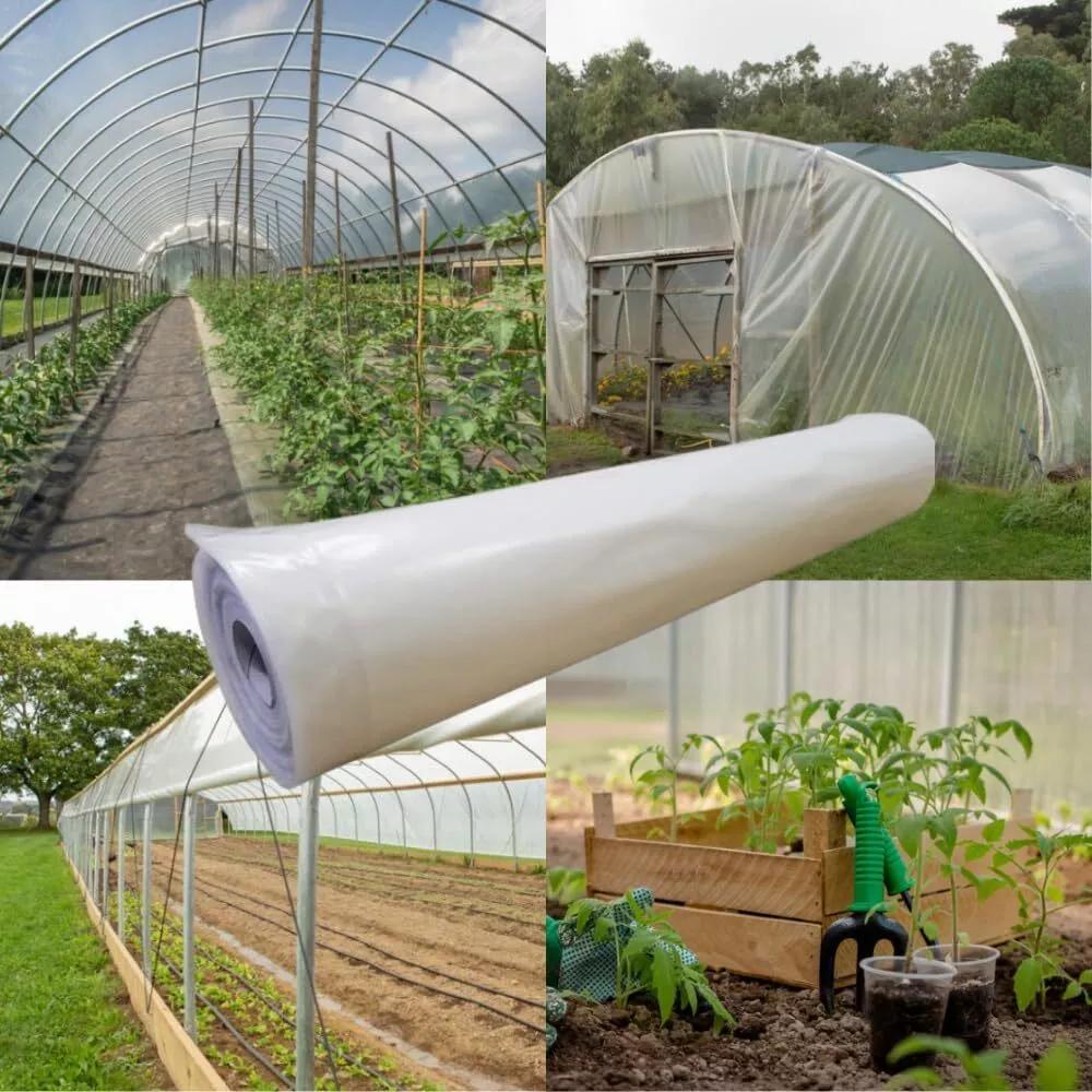 6 mil Greenhouse Plastic Film Sheeting Cover Large Size 100ft 50ft 40ft Length Available UV Resistant Clear Polyethylene Film