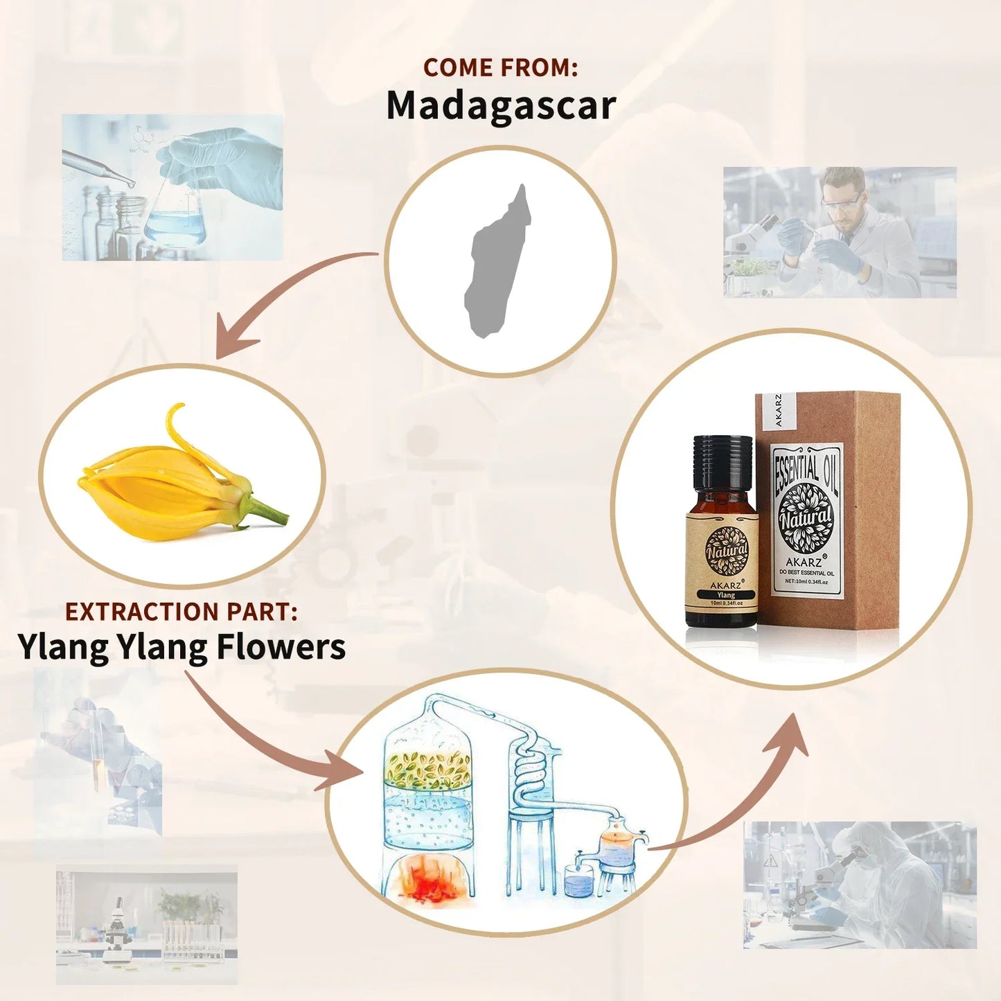 Ylang-Ylang Essential Oil