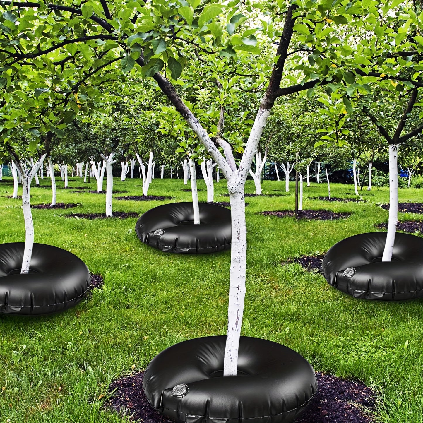 8 Pack Tree Watering Bags Tree Watering Ring Slow Release PVC Drip Irrigation Water Pouch Automatic Drip System For Planting Gardening Trees And Shrubs