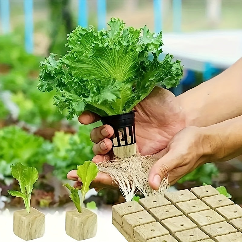 100 Holes/Planting Cubes, Agriculture, Gardens, Fields, Water Storage Functions/Soilless Cultivation