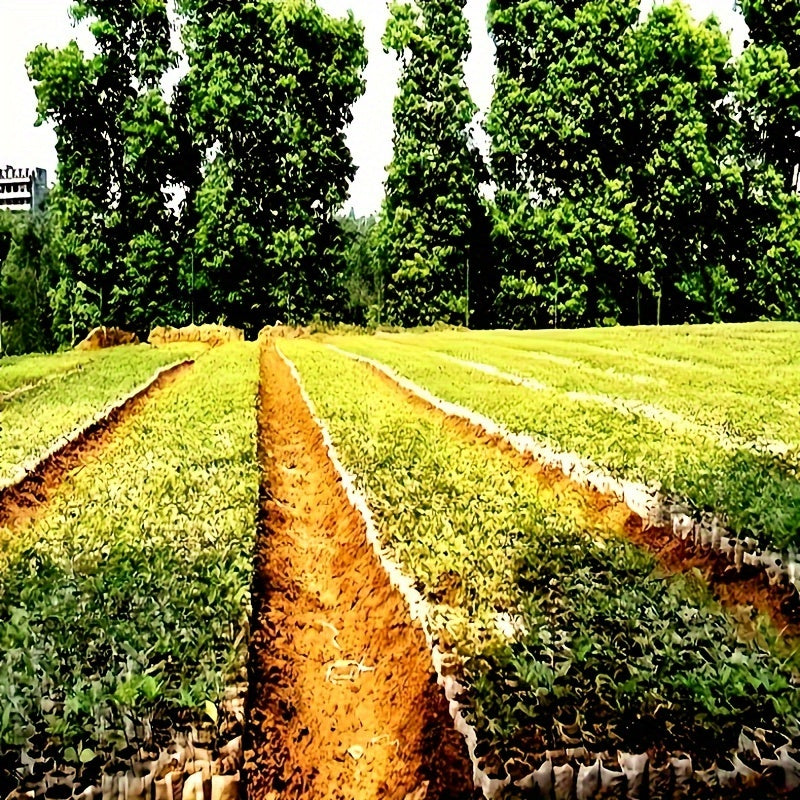 500/1000pcs Biodegradable Seed Nursery Bags, Non-Woven Plants Grow Bags, Fabric Seedling Pots Plants Pouch,