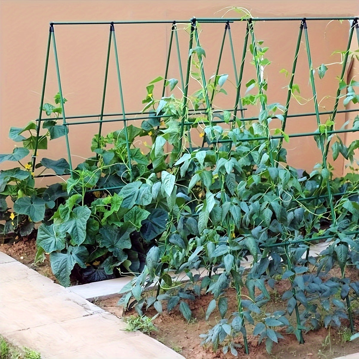 Durable Garden Plant Support Stakes Set, 1 Set Metal and Plastic Climbing Plant Trellis - Reusable for Supporting Tomatoes, Flowers, and Vines