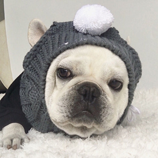 For Small Dogs, Christmas Winter Dog Cap