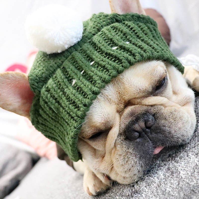 For Small Dogs, Christmas Winter Dog Cap