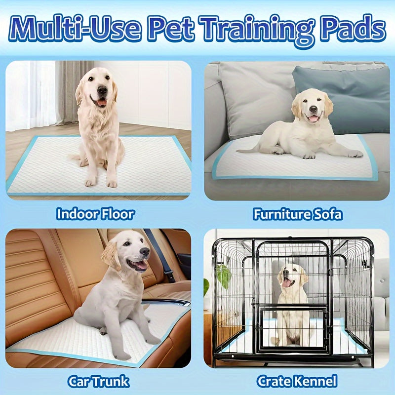 100-Count Pack of 22 x 22 Inch UnScented Puppy Pee Pads with 5-Layer Leak-Proof Design